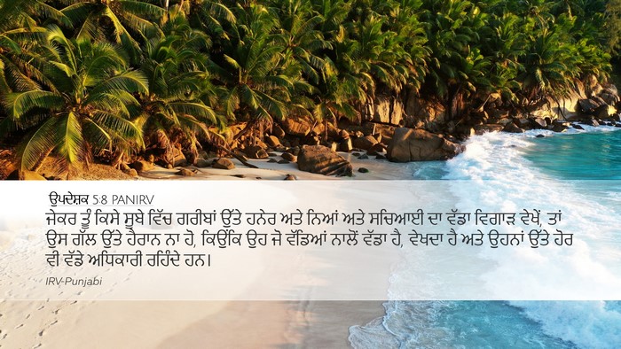 ਉਪਦੇਸ਼ਕ 5:8 PANIRV Bible Verse Image