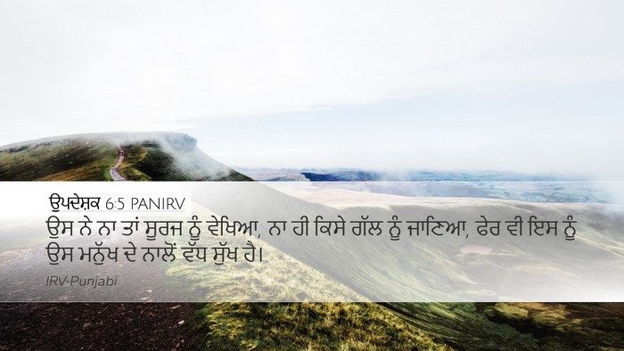 ਉਪਦੇਸ਼ਕ 6:5 PANIRV Bible Verse Image