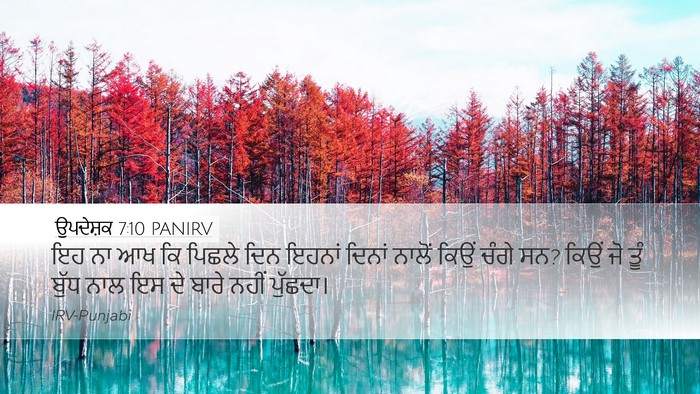 ਉਪਦੇਸ਼ਕ 7:10 PANIRV Bible Verse Image