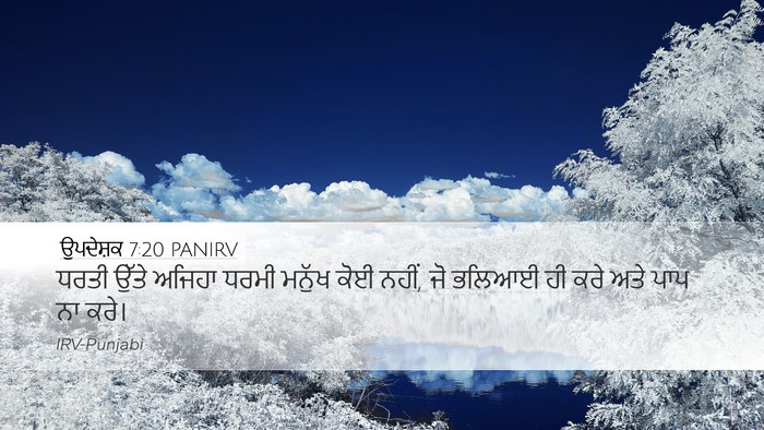 ਉਪਦੇਸ਼ਕ 7:20 PANIRV Bible Verse Image