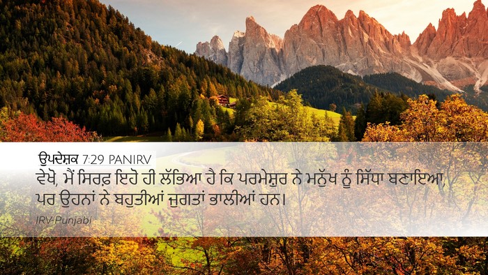 ਉਪਦੇਸ਼ਕ 7:29 PANIRV Bible Verse Image