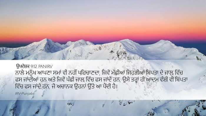 ਉਪਦੇਸ਼ਕ 9:12 PANIRV Bible Verse Image