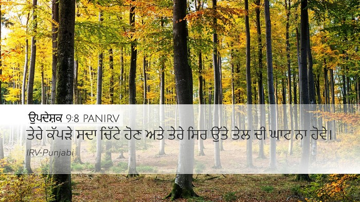 ਉਪਦੇਸ਼ਕ 9:8 PANIRV Bible Verse Image