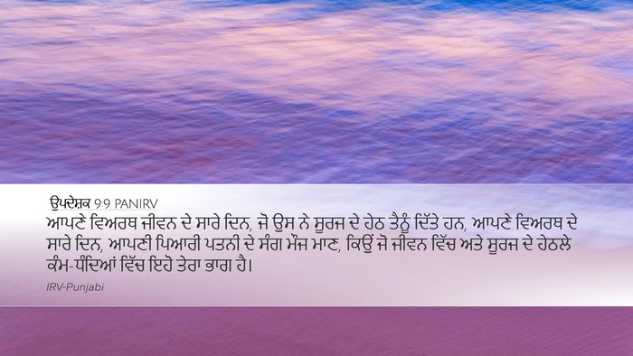 ਉਪਦੇਸ਼ਕ 9:9 PANIRV Bible Verse Image