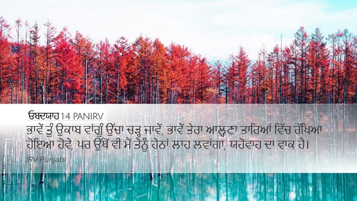 ਓਬਦਯਾਹ 1:4 PANIRV Bible Verse Image