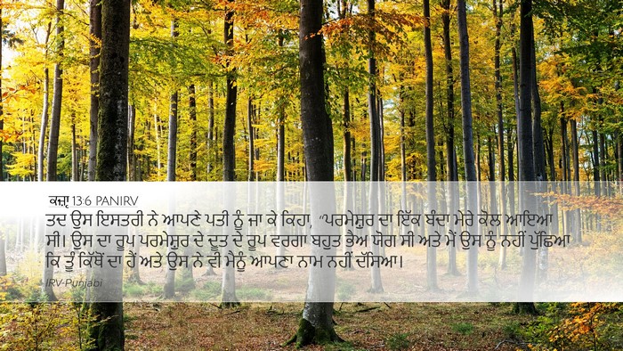 ਕਜ਼ਾૃ 13:6 PANIRV Bible Verse Image