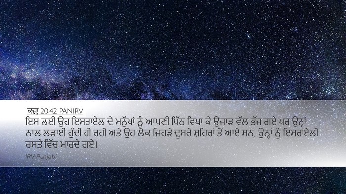 ਕਜ਼ਾૃ 20:42 PANIRV Bible Verse Image