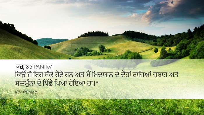 ਕਜ਼ਾૃ 8:5 PANIRV Bible Verse Image