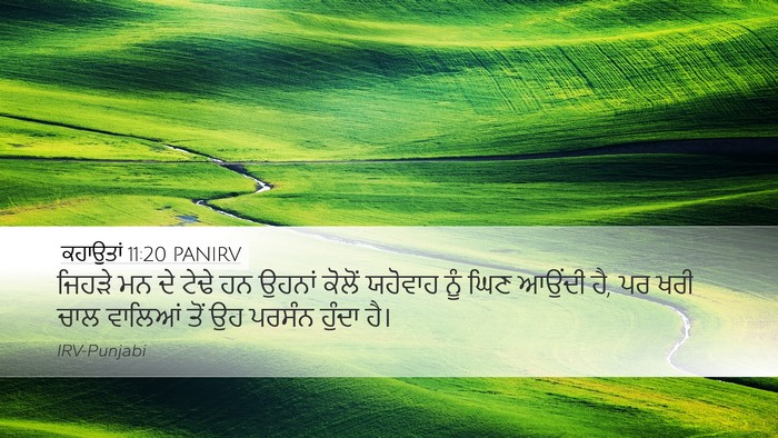 ਕਹਾਉਤਾਂ 11:20 PANIRV Bible Verse Image