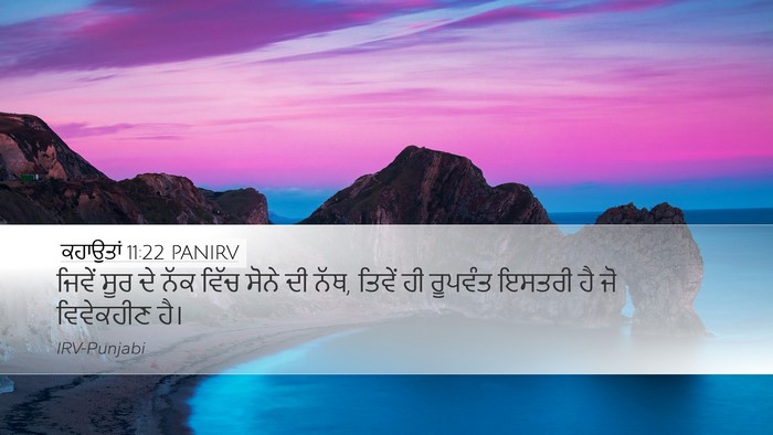 ਕਹਾਉਤਾਂ 11:22 PANIRV Bible Verse Image