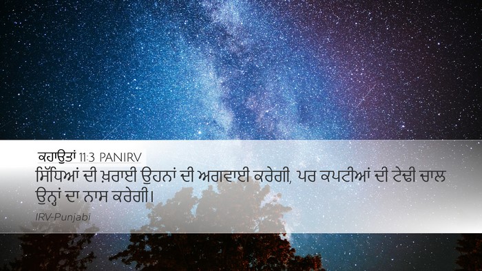 ਕਹਾਉਤਾਂ 11:3 PANIRV Bible Verse Image