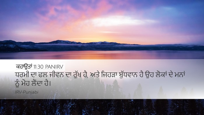 ਕਹਾਉਤਾਂ 11:30 PANIRV Bible Verse Image