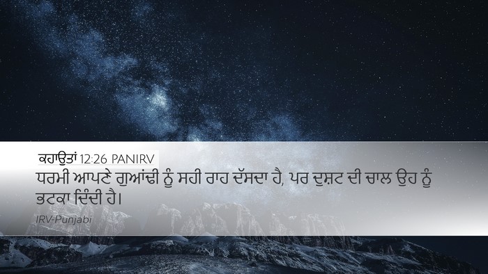 ਕਹਾਉਤਾਂ 12:26 PANIRV Bible Verse Image