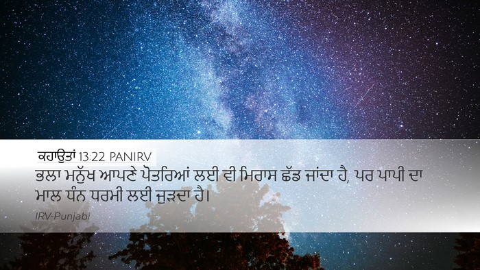 ਕਹਾਉਤਾਂ 13:22 PANIRV Bible Verse Image