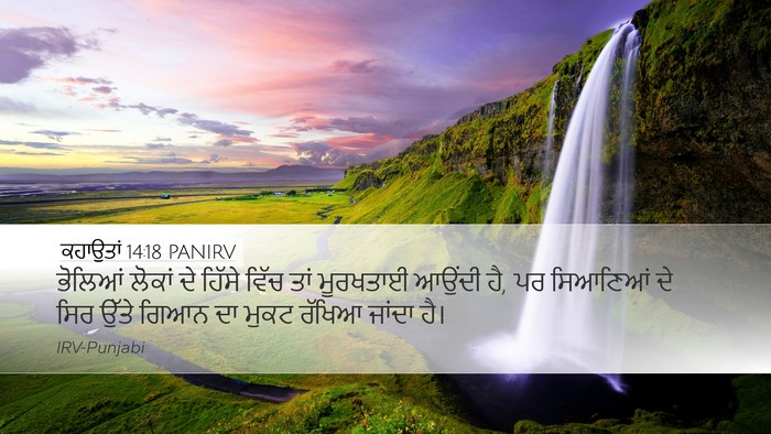 ਕਹਾਉਤਾਂ 14:18 PANIRV Bible Verse Image