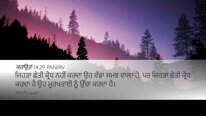 ਕਹਾਉਤਾਂ 14:29 PANIRV Bible Verse Image