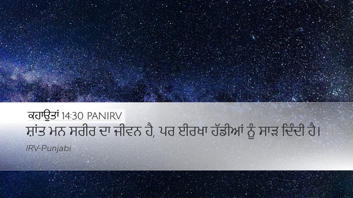 ਕਹਾਉਤਾਂ 14:30 PANIRV Bible Verse Image