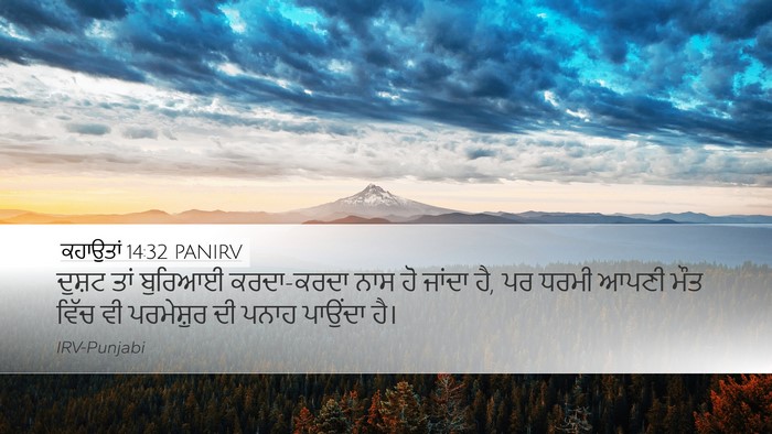 ਕਹਾਉਤਾਂ 14:32 PANIRV Bible Verse Image