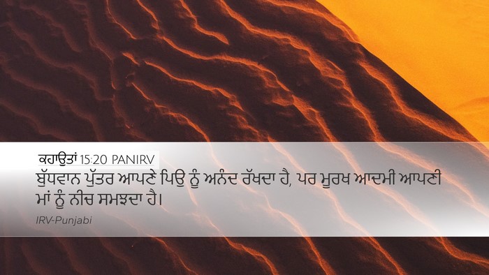 ਕਹਾਉਤਾਂ 15:20 PANIRV Bible Verse Image