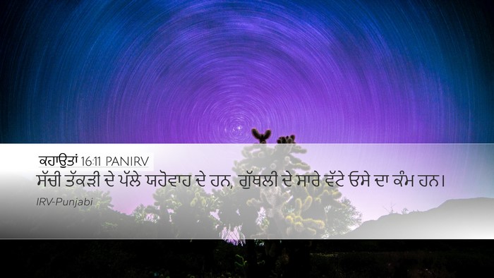 ਕਹਾਉਤਾਂ 16:11 PANIRV Bible Verse Image