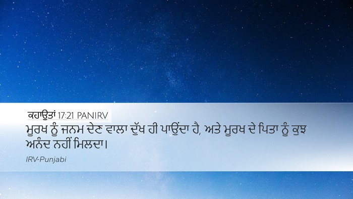 ਕਹਾਉਤਾਂ 17:21 PANIRV Bible Verse Image