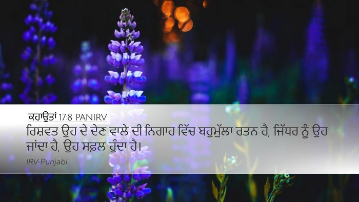 ਕਹਾਉਤਾਂ 17:8 PANIRV Bible Verse Image