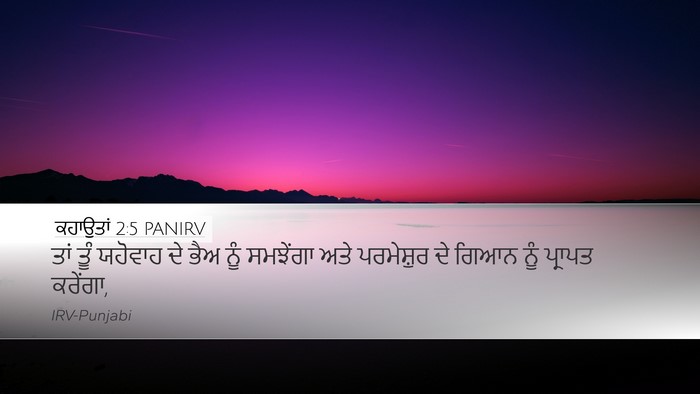 ਕਹਾਉਤਾਂ 2:5 PANIRV Bible Verse Image