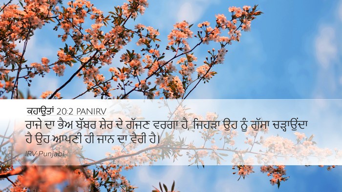 ਕਹਾਉਤਾਂ 20:2 PANIRV Bible Verse Image