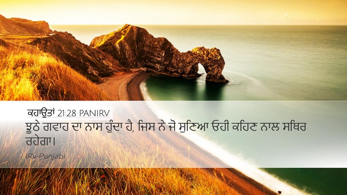 ਕਹਾਉਤਾਂ 21:28 PANIRV Bible Verse Image