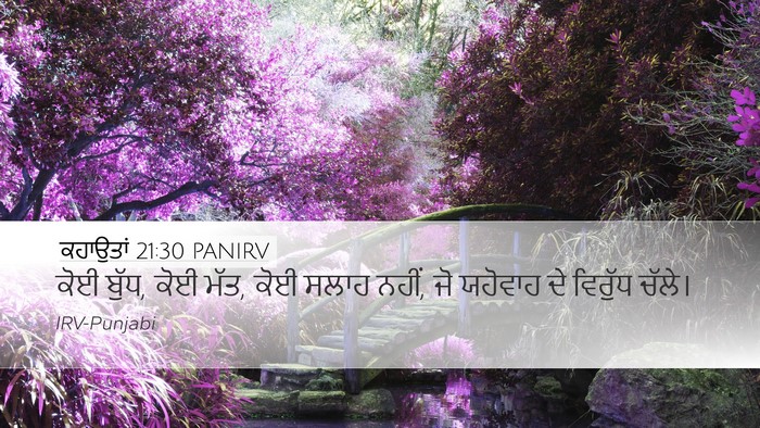 ਕਹਾਉਤਾਂ 21:30 PANIRV Bible Verse Image