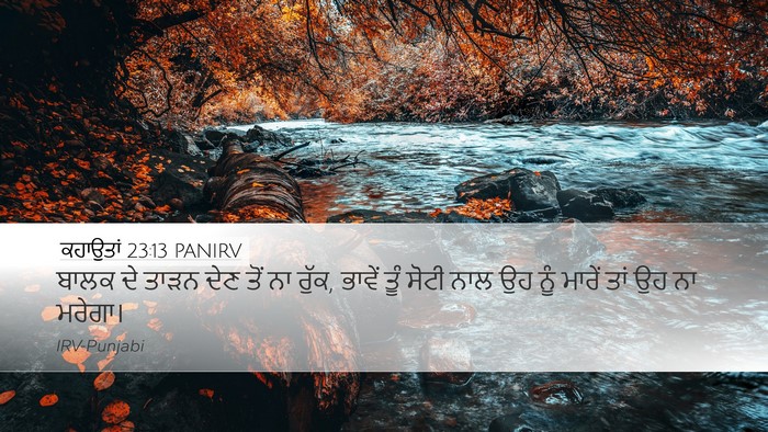 ਕਹਾਉਤਾਂ 23:13 PANIRV Bible Verse Image
