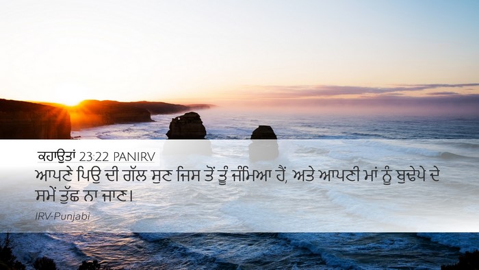 ਕਹਾਉਤਾਂ 23:22 PANIRV Bible Verse Image