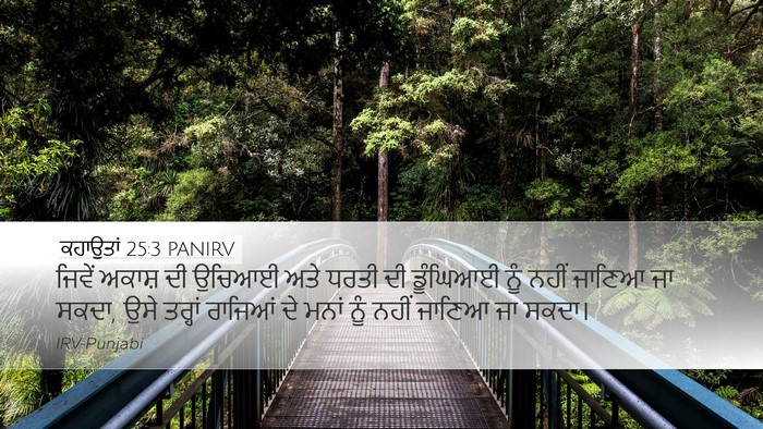 ਕਹਾਉਤਾਂ 25:3 PANIRV Bible Verse Image