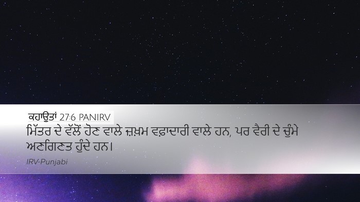 ਕਹਾਉਤਾਂ 27:6 PANIRV Bible Verse Image