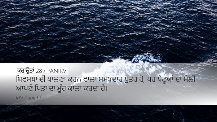 ਕਹਾਉਤਾਂ 28:7 PANIRV Bible Verse Image
