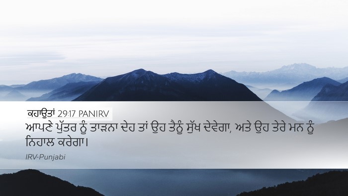 ਕਹਾਉਤਾਂ 29:17 PANIRV Bible Verse Image