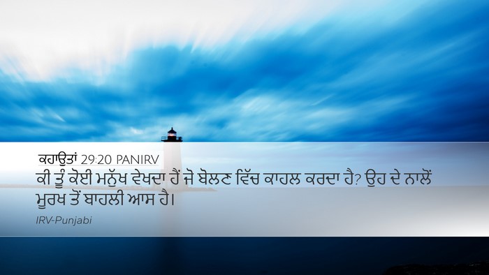 ਕਹਾਉਤਾਂ 29:20 PANIRV Bible Verse Image