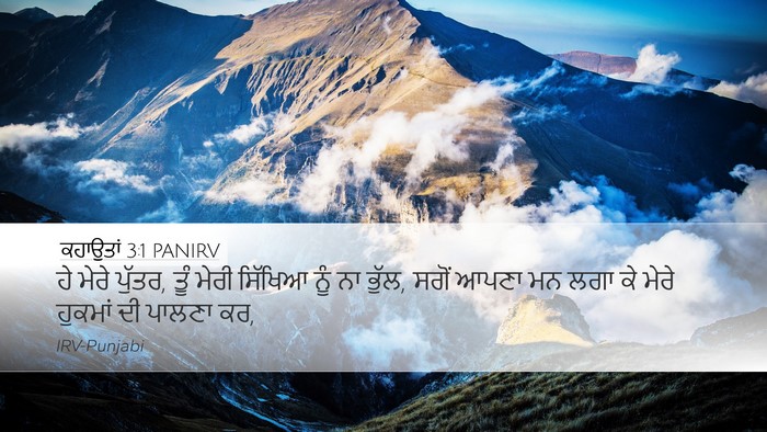 ਕਹਾਉਤਾਂ 3:1 PANIRV Bible Verse Image
