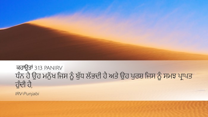 ਕਹਾਉਤਾਂ 3:13 PANIRV Bible Verse Image