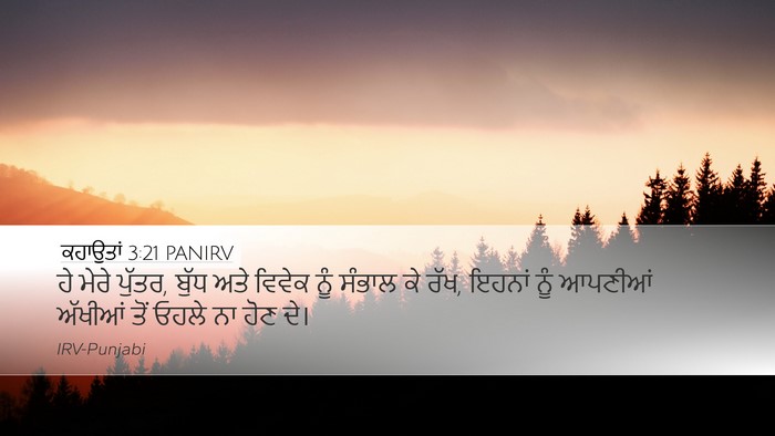 ਕਹਾਉਤਾਂ 3:21 PANIRV Bible Verse Image