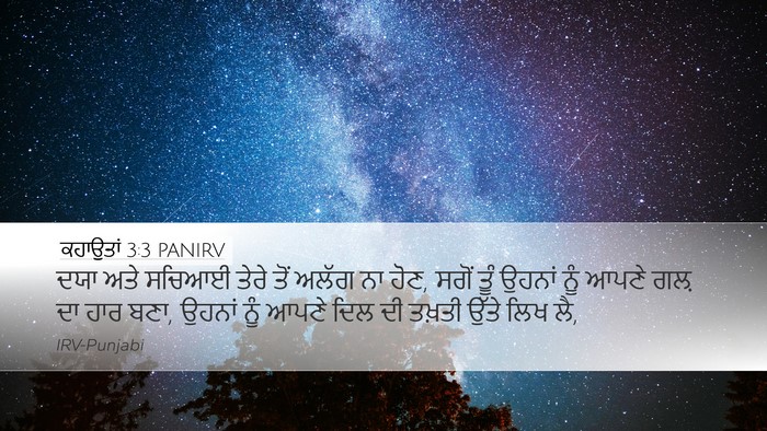 ਕਹਾਉਤਾਂ 3:3 PANIRV Bible Verse Image