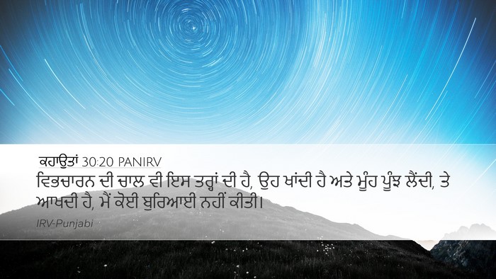 ਕਹਾਉਤਾਂ 30:20 PANIRV Bible Verse Image