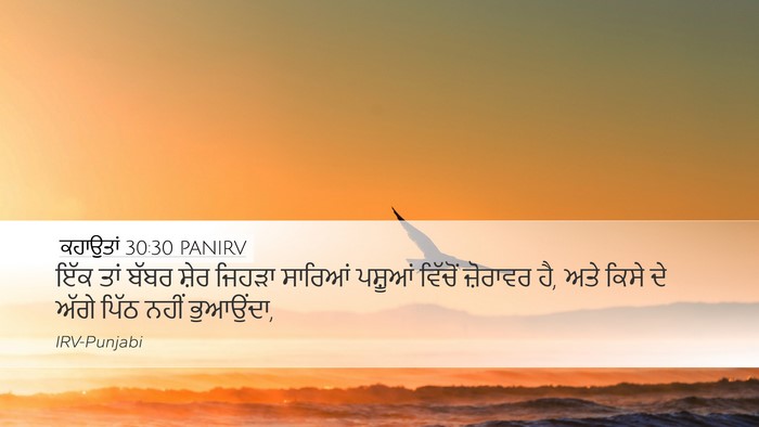 ਕਹਾਉਤਾਂ 30:30 PANIRV Bible Verse Image