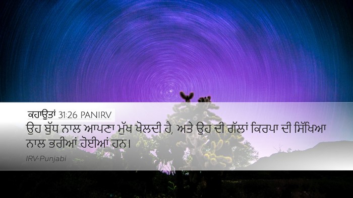 ਕਹਾਉਤਾਂ 31:26 PANIRV Bible Verse Image