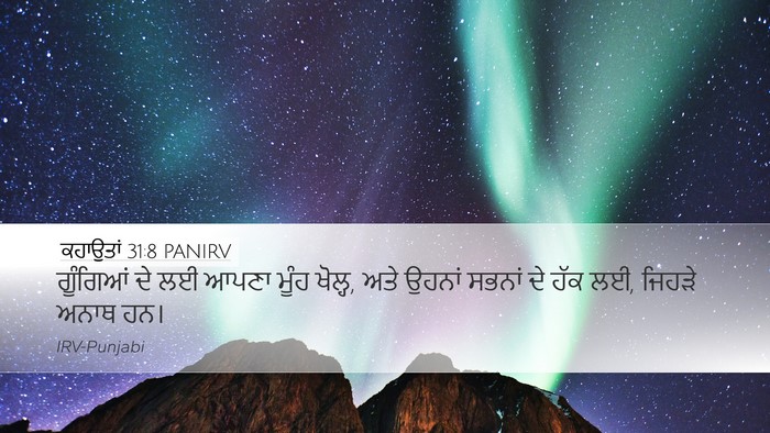 ਕਹਾਉਤਾਂ 31:8 PANIRV Bible Verse Image