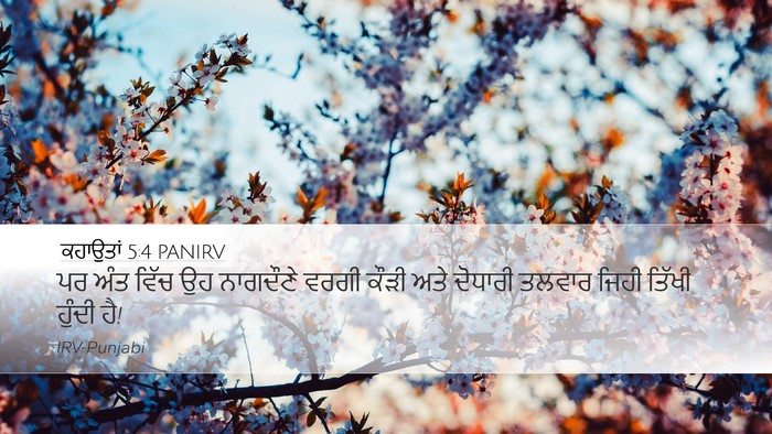 ਕਹਾਉਤਾਂ 5:4 PANIRV Bible Verse Image