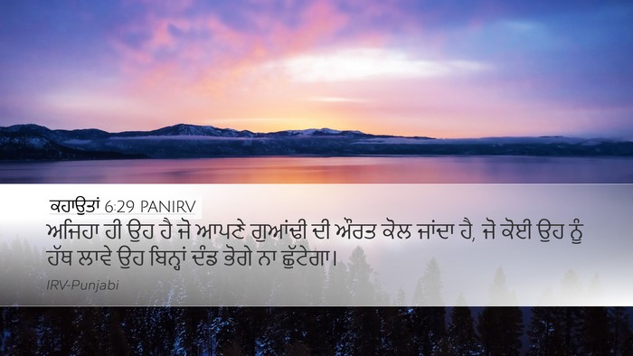ਕਹਾਉਤਾਂ 6:29 PANIRV Bible Verse Image