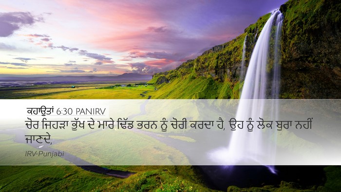ਕਹਾਉਤਾਂ 6:30 PANIRV Bible Verse Image