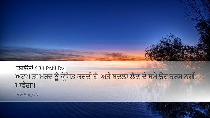 ਕਹਾਉਤਾਂ 6:34 PANIRV Bible Verse Image