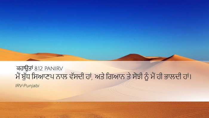 ਕਹਾਉਤਾਂ 8:12 PANIRV Bible Verse Image